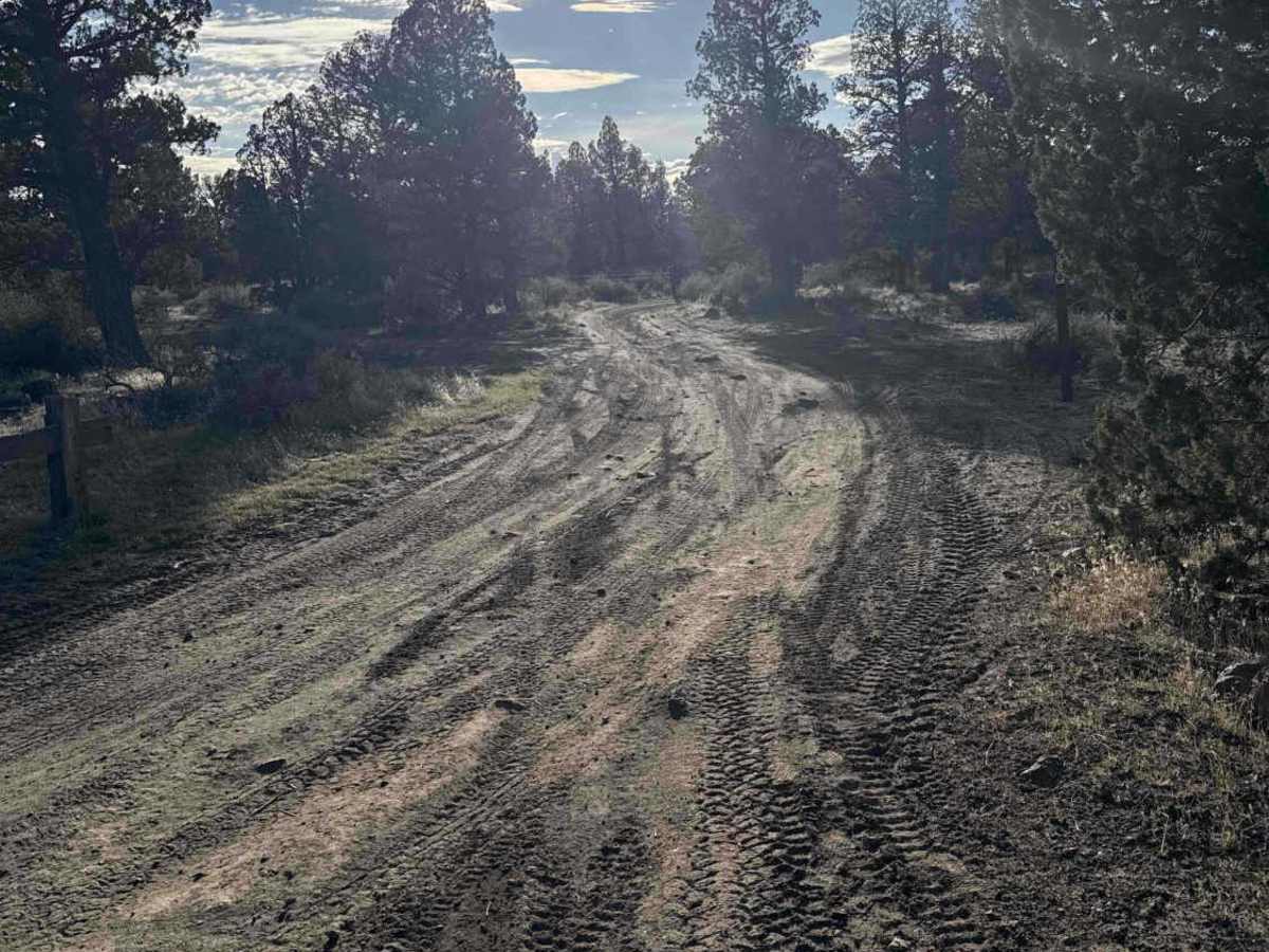 82 trail photo