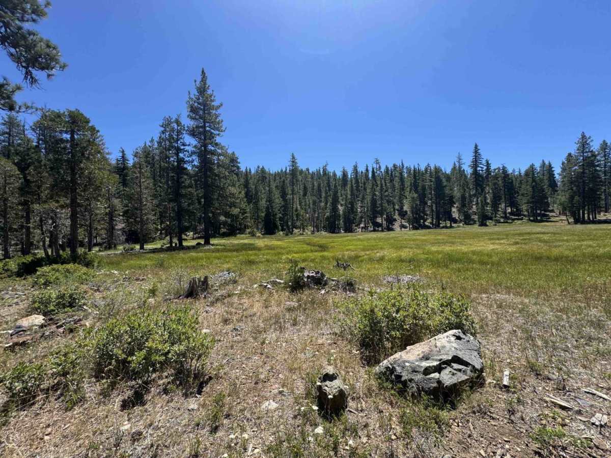 Cory Peak - FS 41N10 trail photo