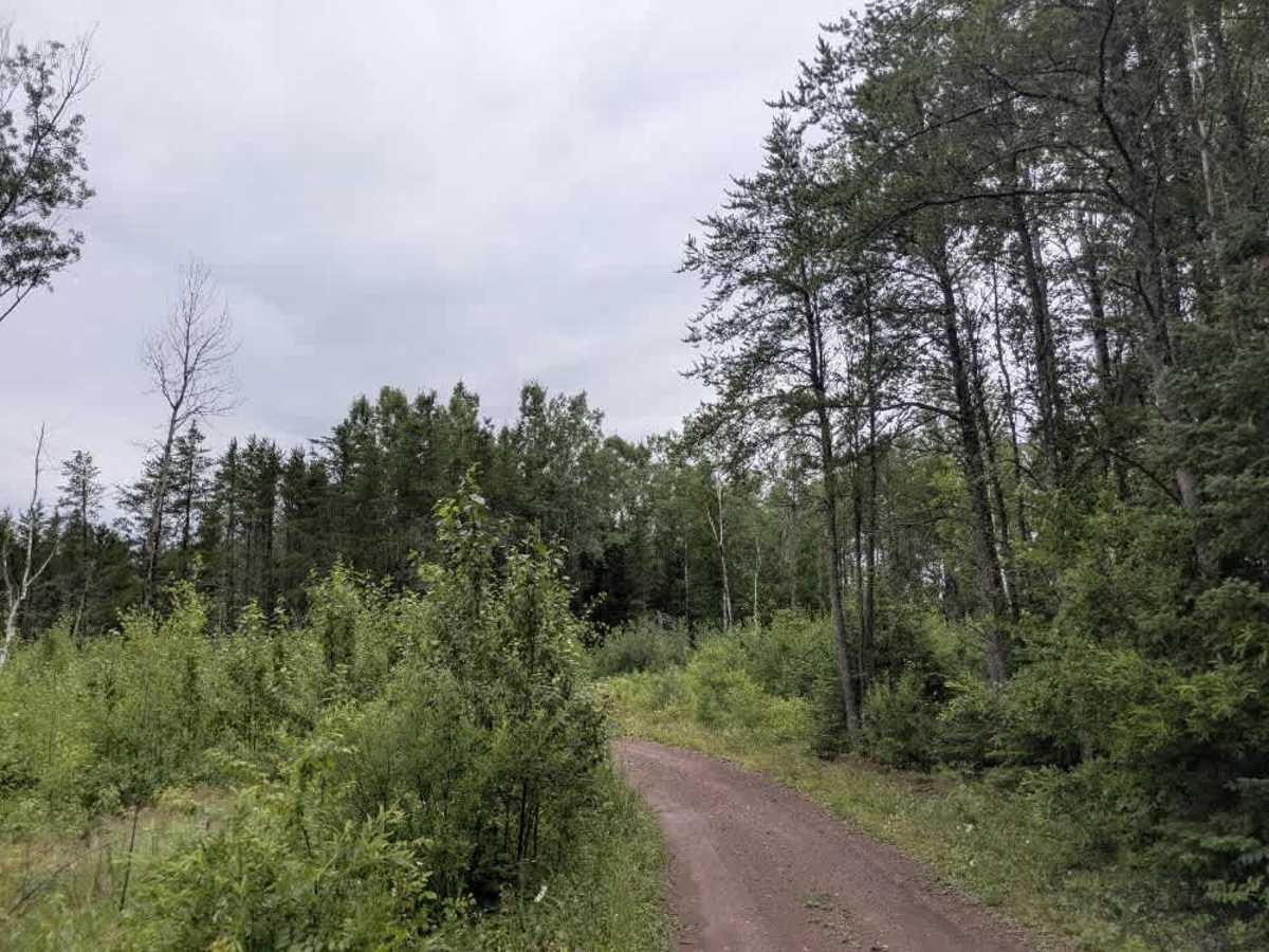 Jackpot Trail trail photo