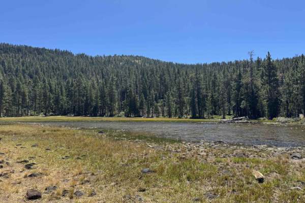 Kangaroo Creek - FS 40N08