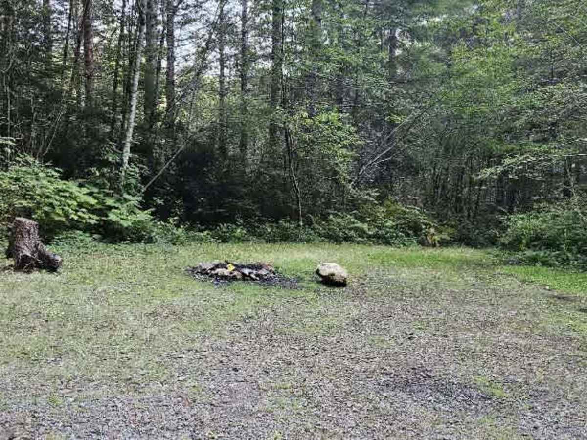 FS 2553000 trail photo