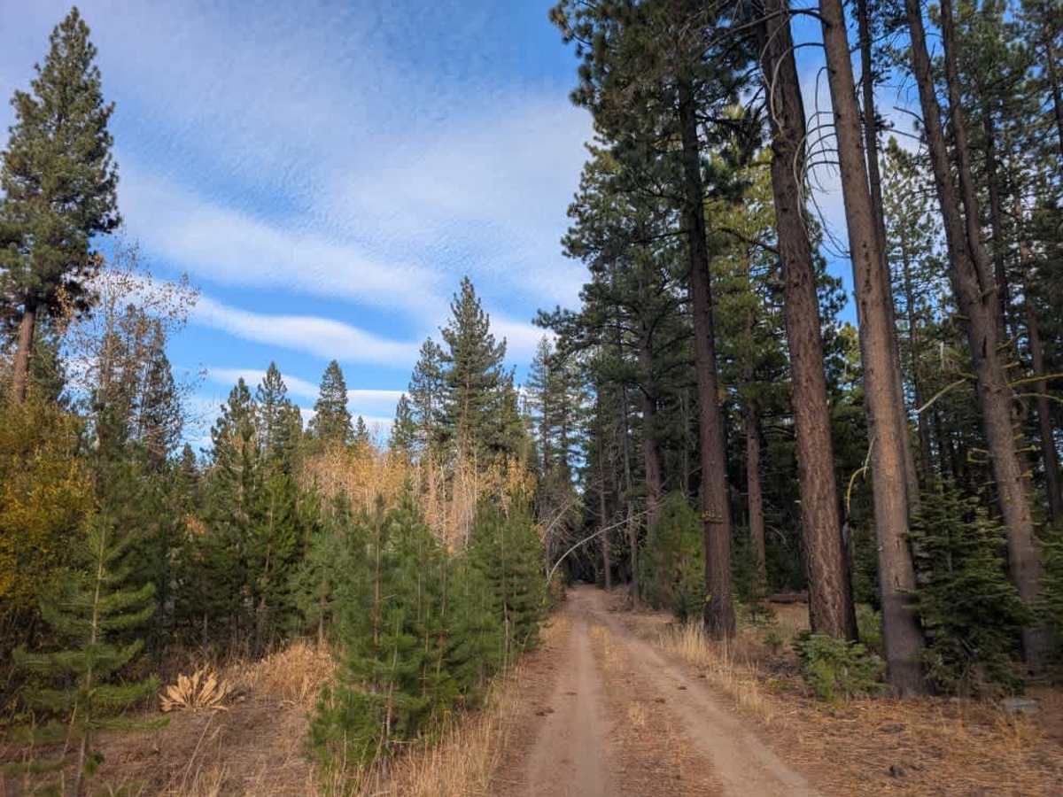 FS 24N10D trail photo