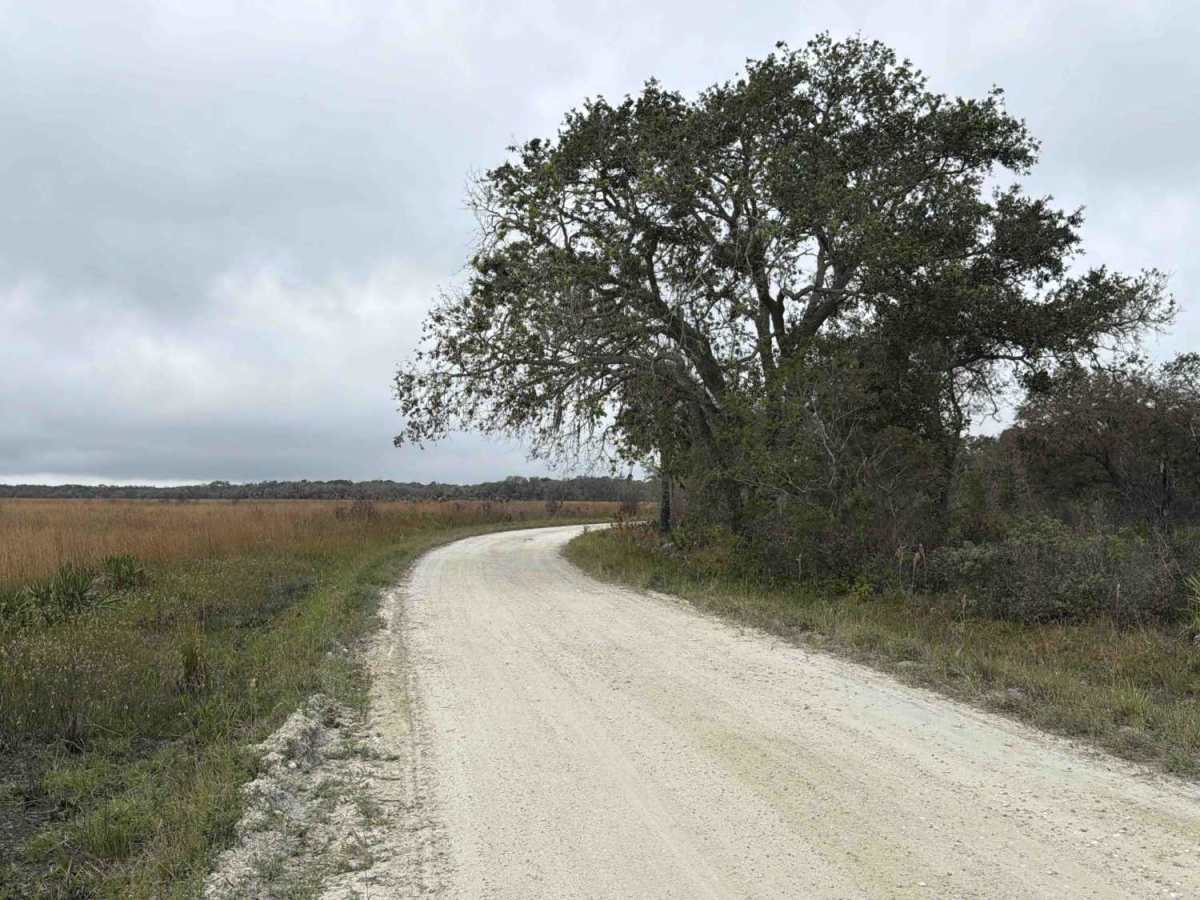 Boat Ramp Road - Three Lakes WMA photo 2