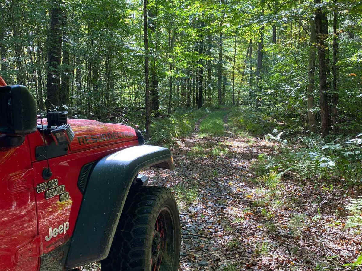 Loggers Trail photo 6
