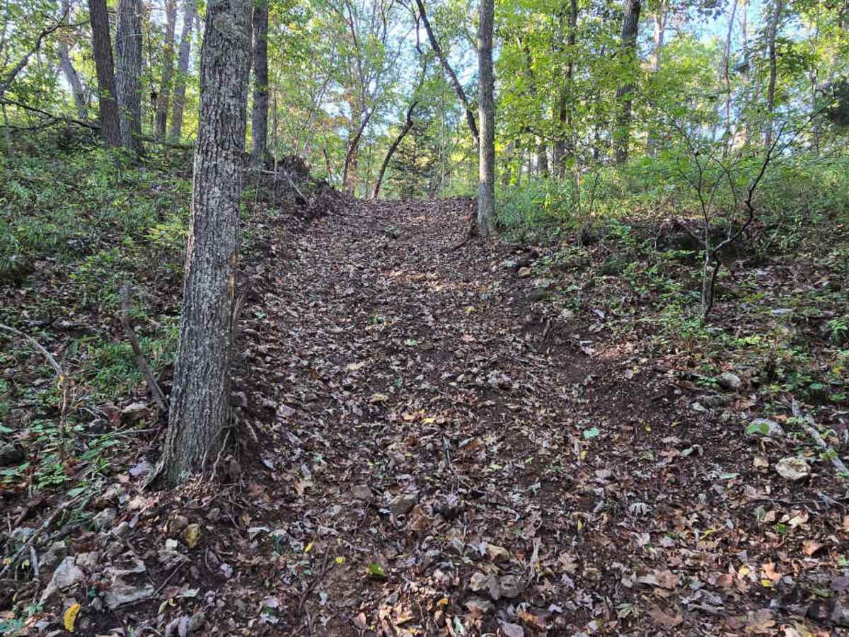 Logging Trail #1 photo 3