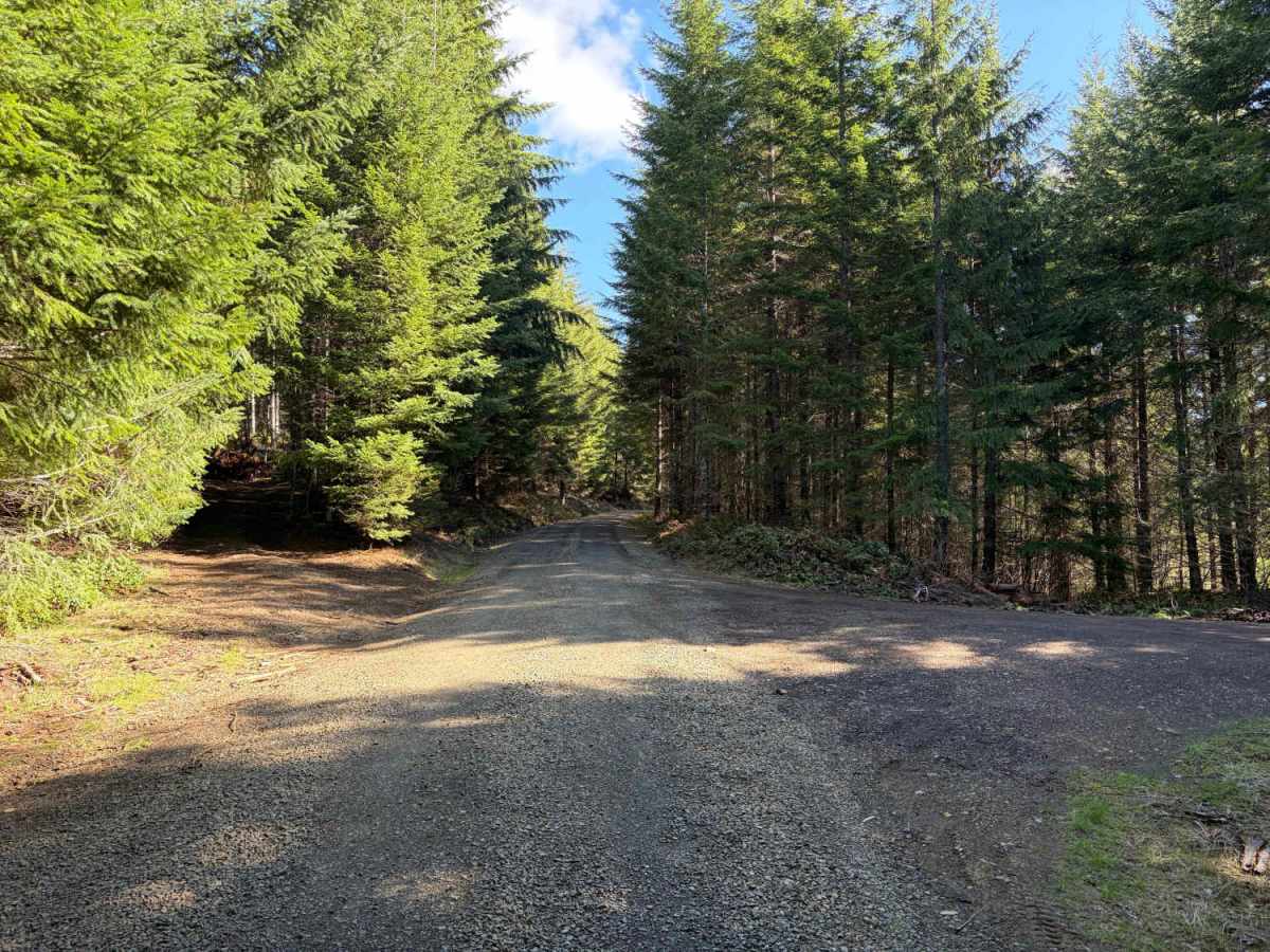 Section 10 Road photo 5
