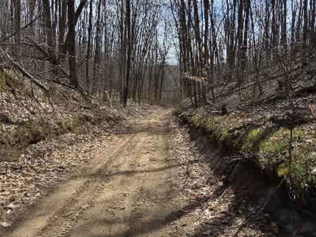 Holms Road trail photo