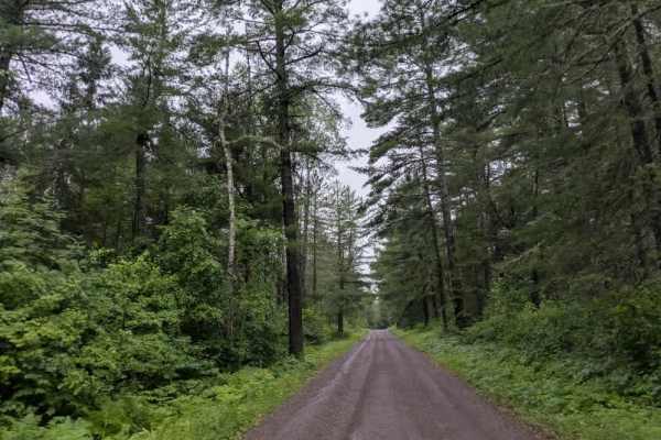 Perent Lake Road