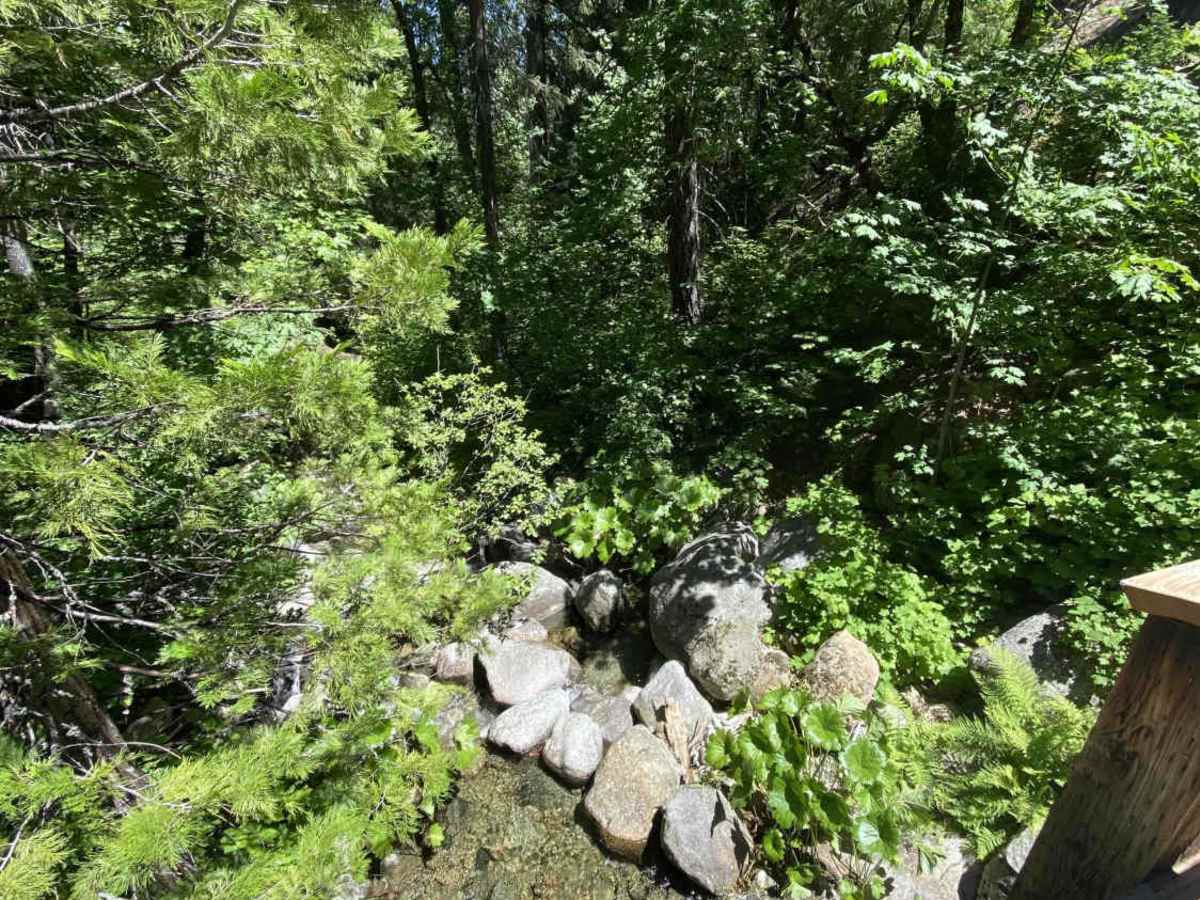 North Fork Swift Creek - FS 37N55 photo 5