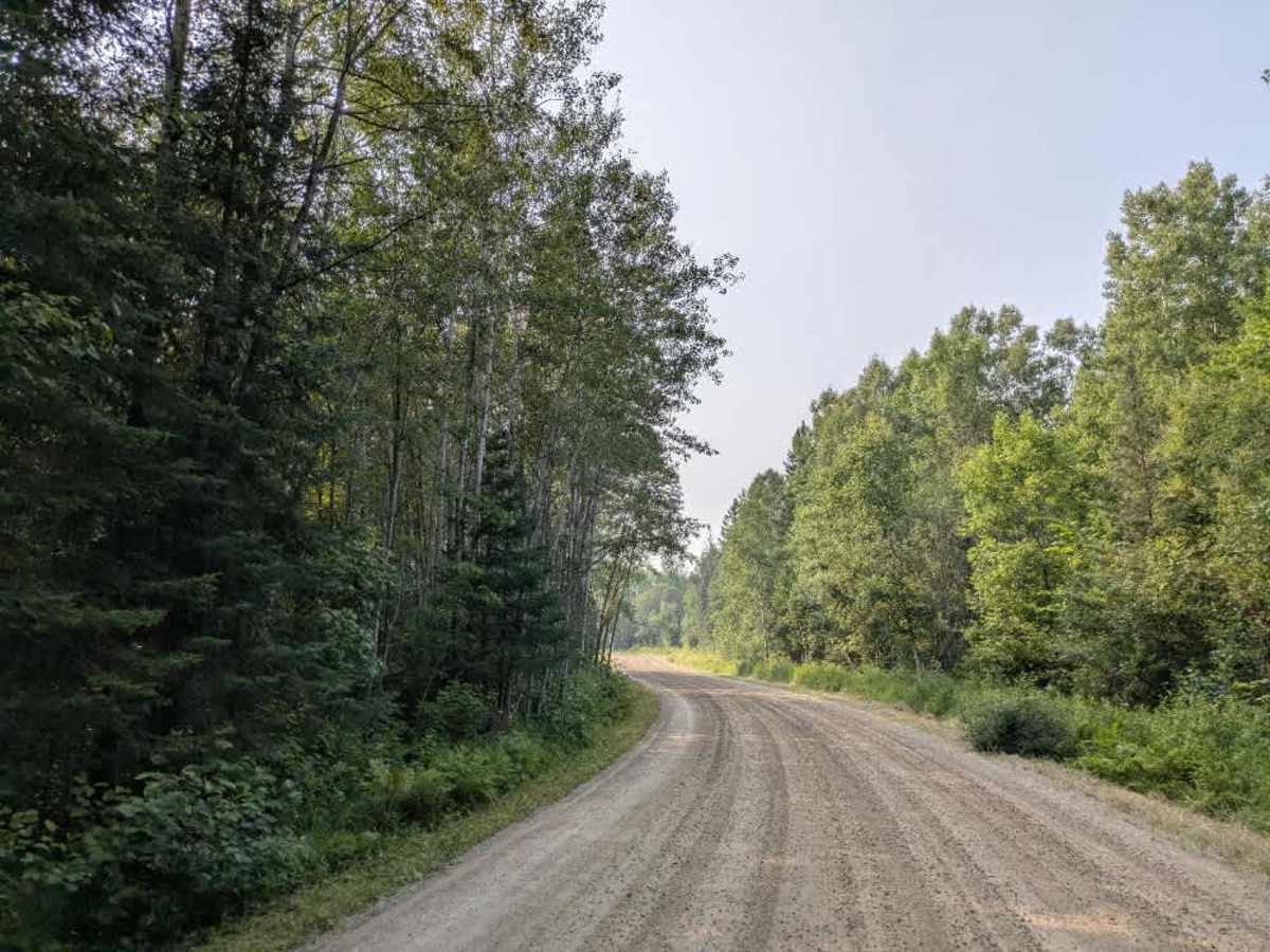 Niles Bay Forest Road photo 3