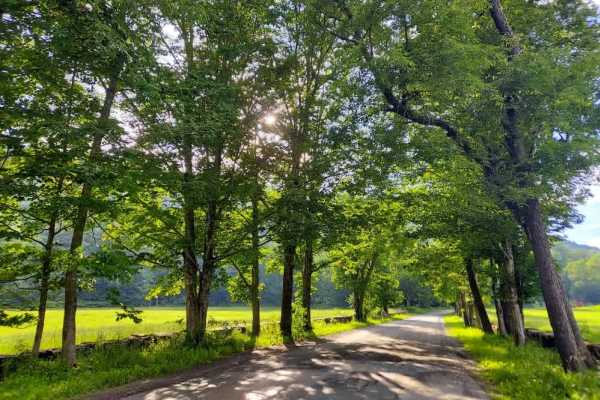 Webster Hill Road