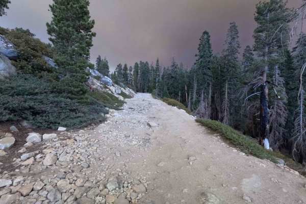 Red Lakes Road - FS 8S042
