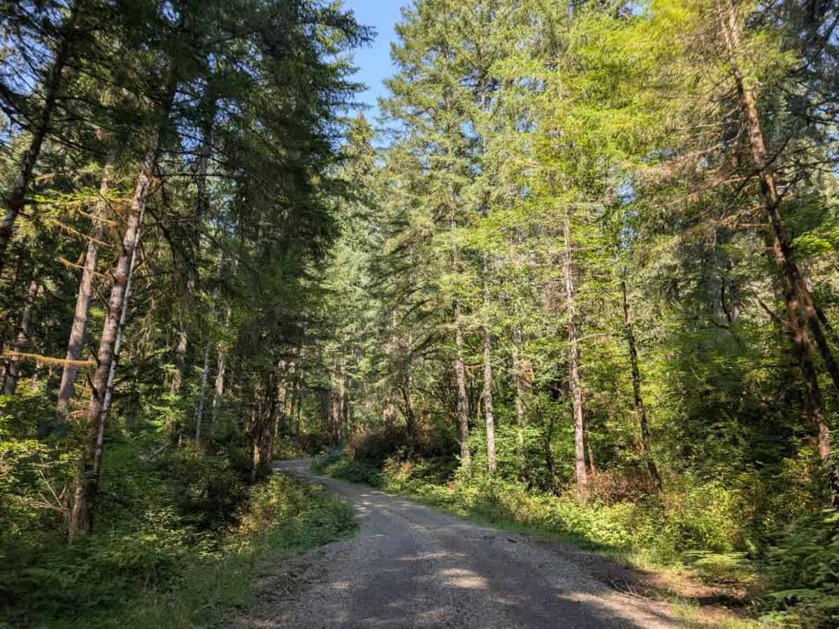 FS 2127000 trail photo