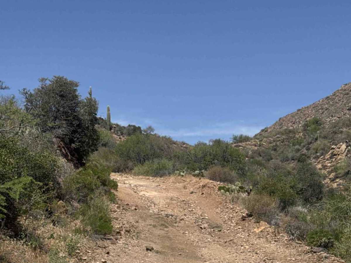 BLM 30023 photo 5