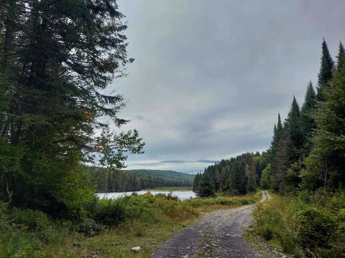 Bobs Way trail photo