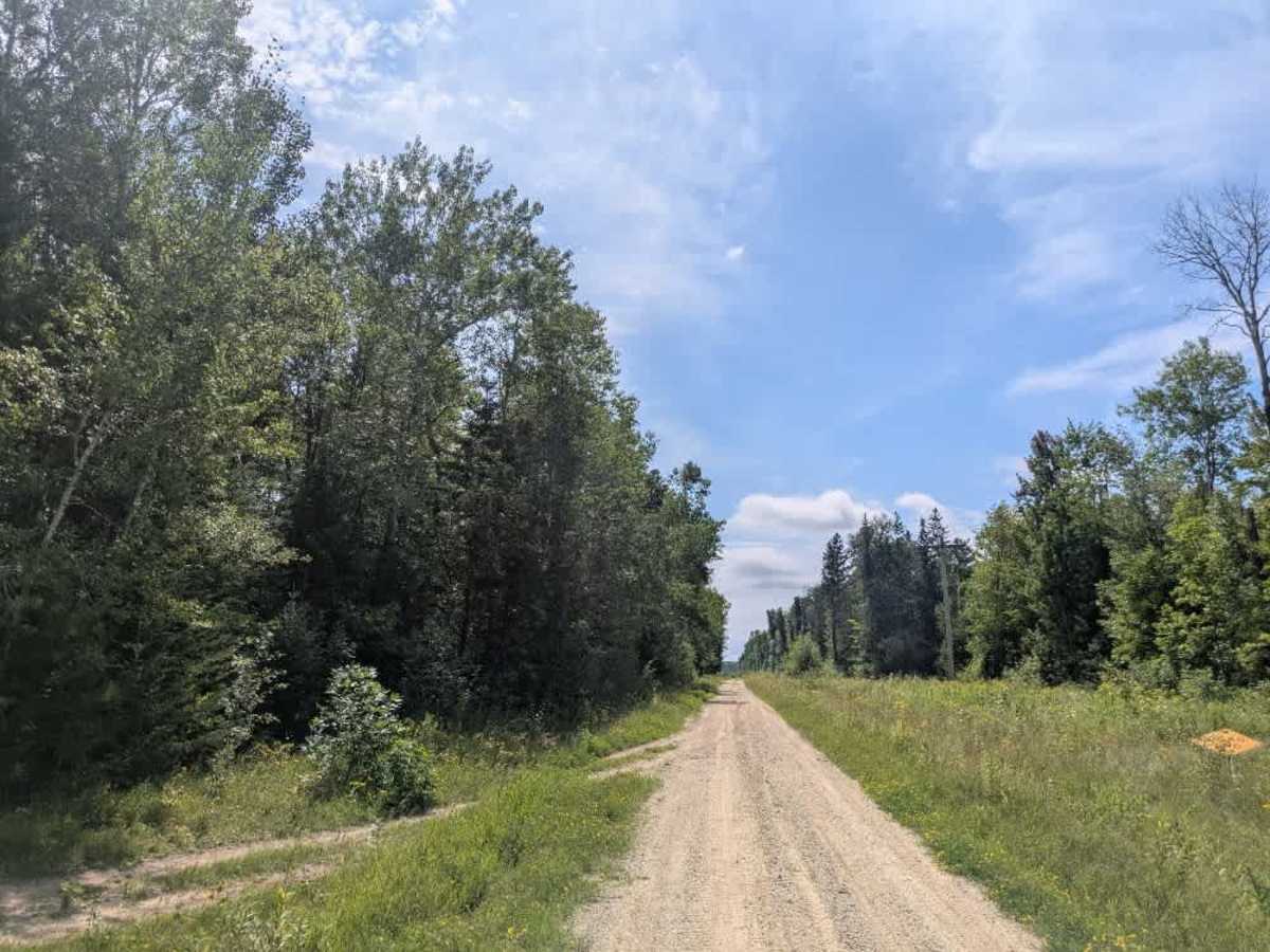 4 trail photo