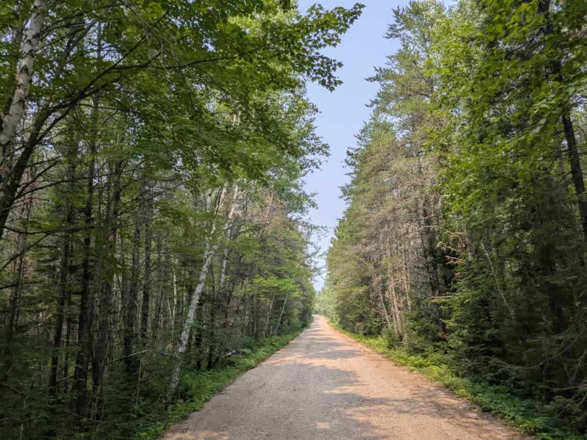 Moose Loop trail photo