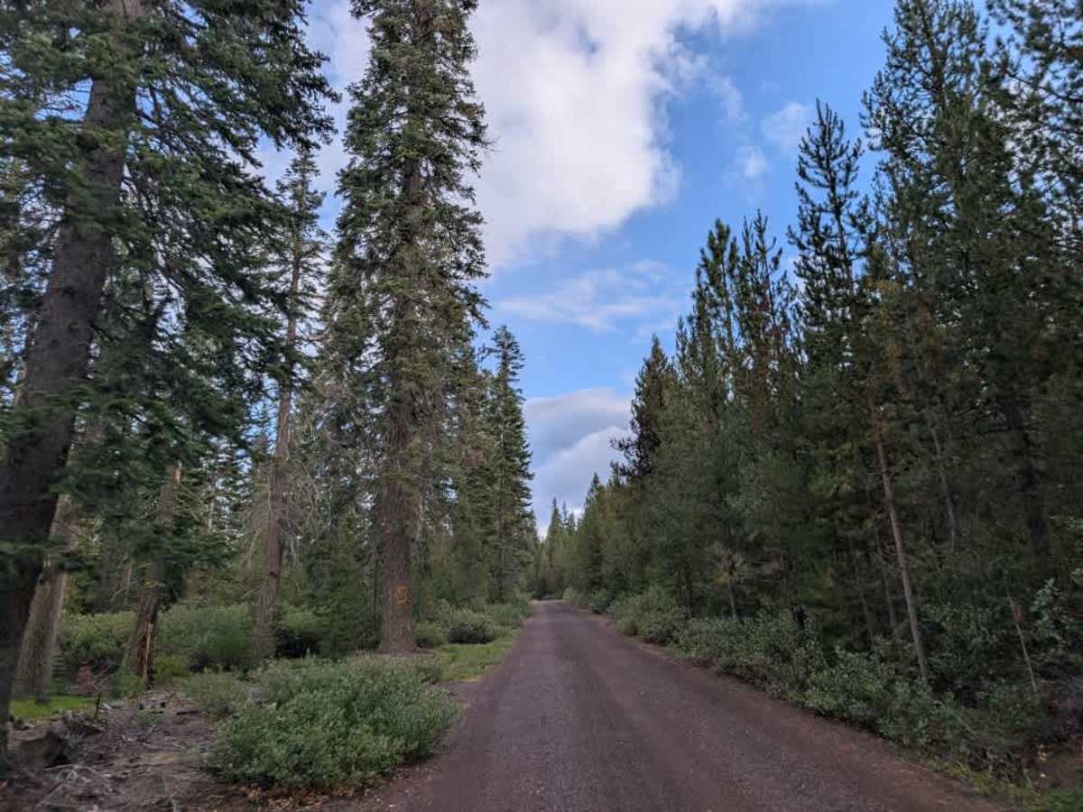 FS 6220000, Oregon | Off-Road Trail Maps, Difficulty, Trail Status ...