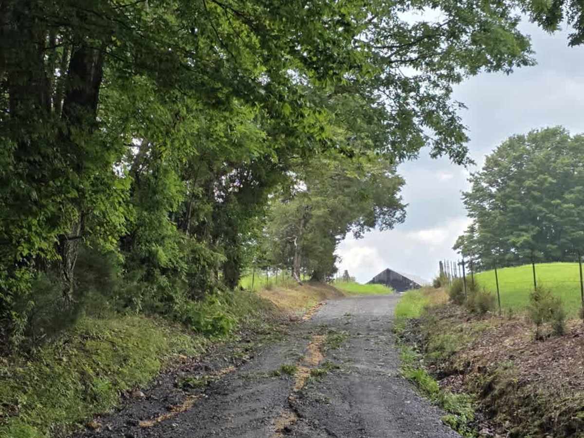 Beech Grove Road - Macon County Tour photo 5