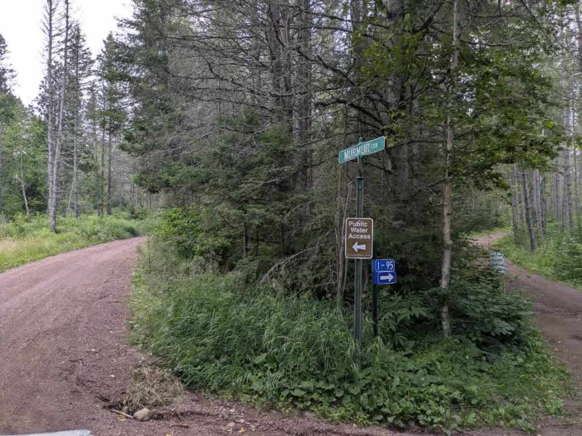 Mistletoe Road photo 5