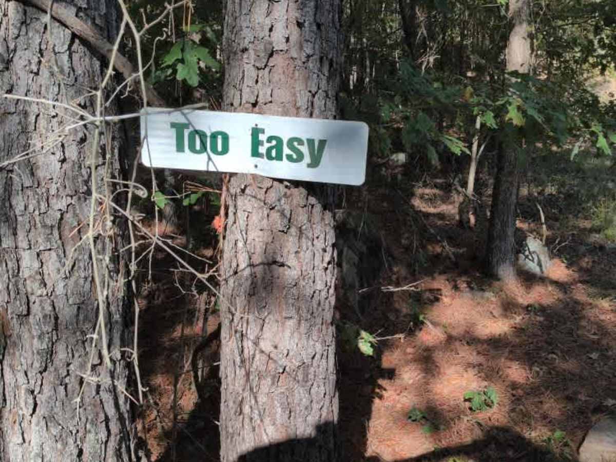 #9 Too Easy photo 3