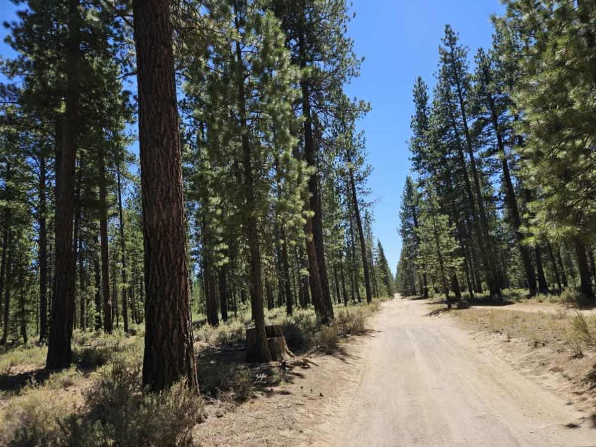 Boundary Road trail photo