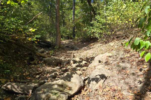 Trail Mix