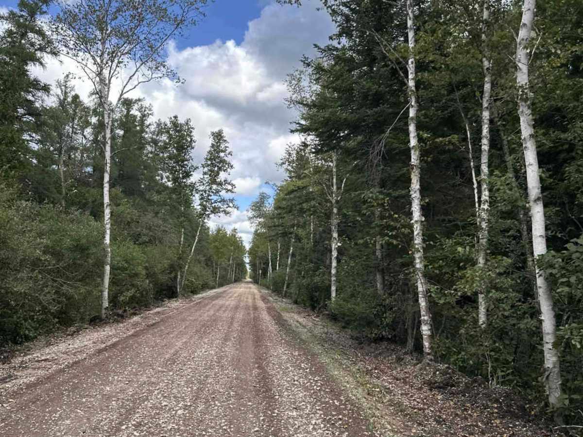 Haywire Grade ORV Trail photo 6