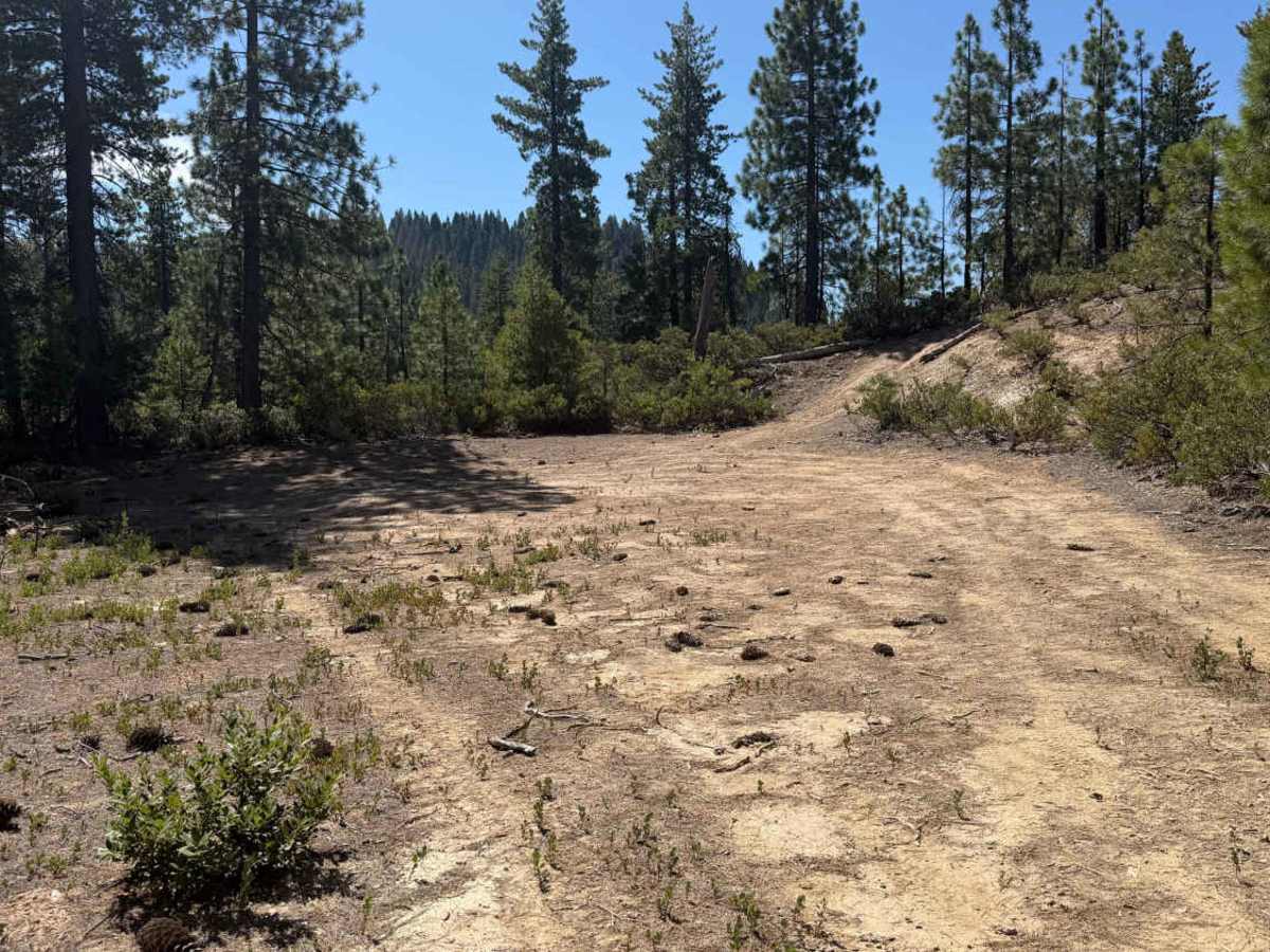East Excelsior Point - FS 20-017-04 trail photo