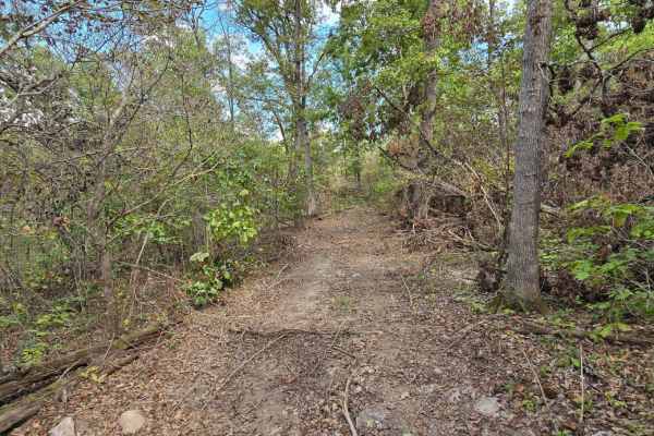 Logging Trail #1