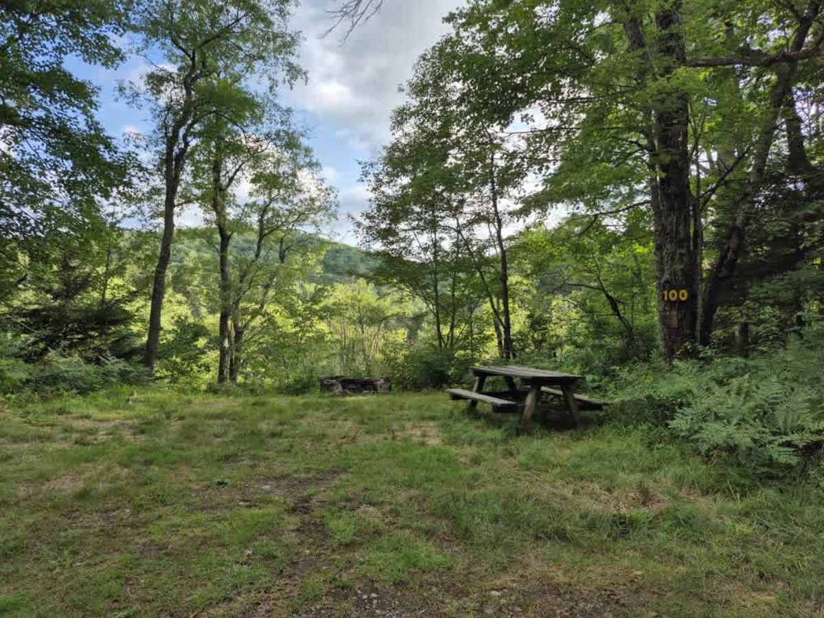 Otter Brook Trail photo 3