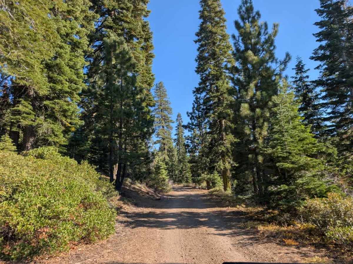 FS 24N12 trail photo