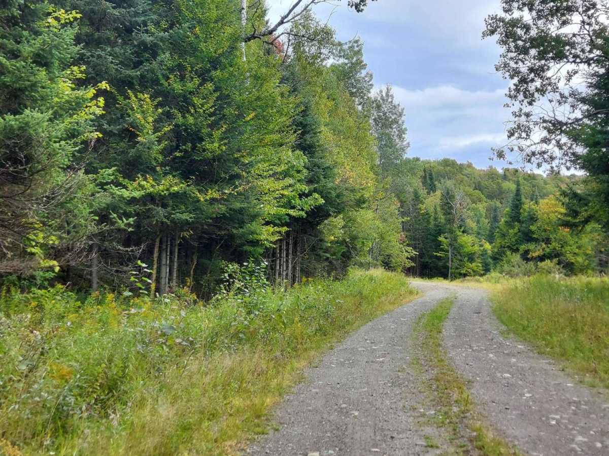 East Branch Road photo 5