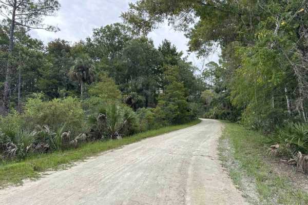 Nature Drive