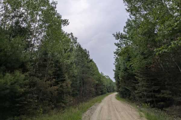Camp 90 Forest Road