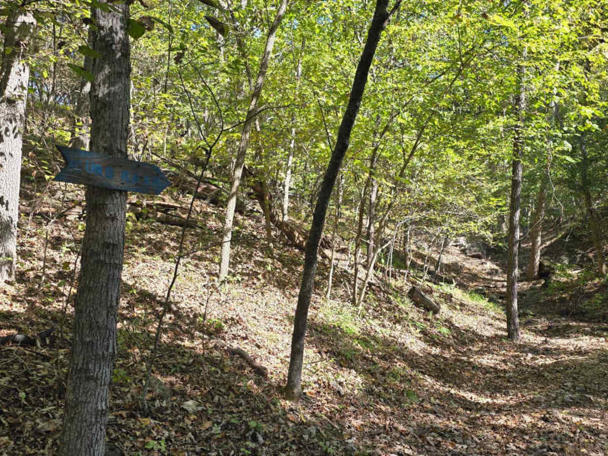 Curb Rash trail photo
