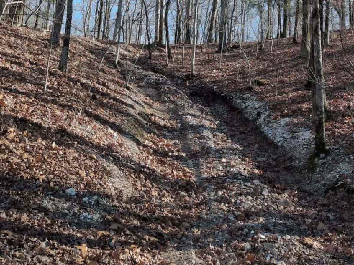F10 Rock Fink Ravine Part Deux photo 4