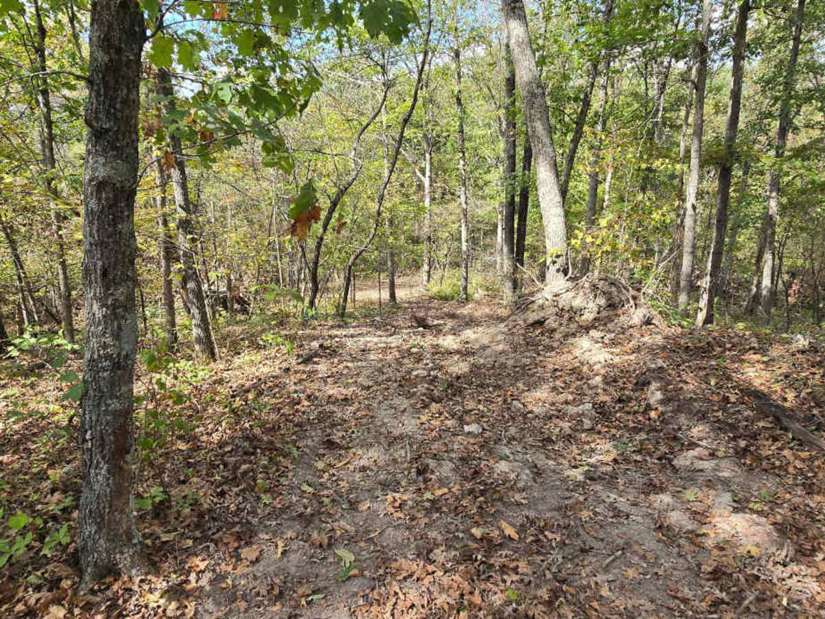 Logging Trail #1 photo 6