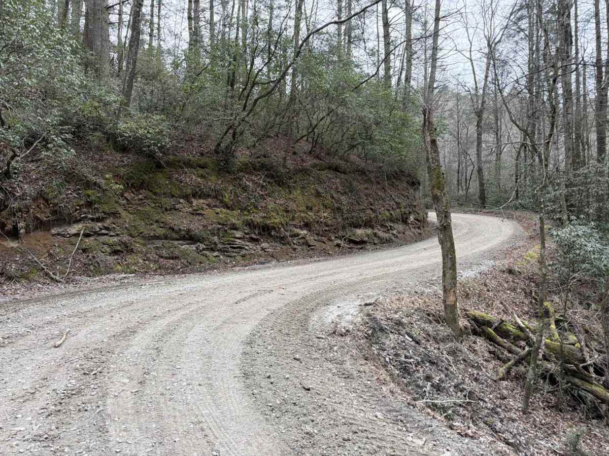 Bear Gap Road trail photo