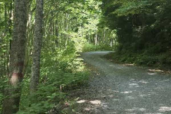 Middle Road