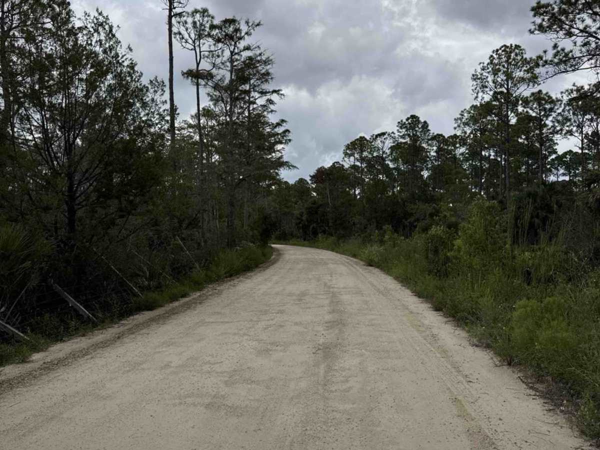 Dixie Mainline Road photo 5