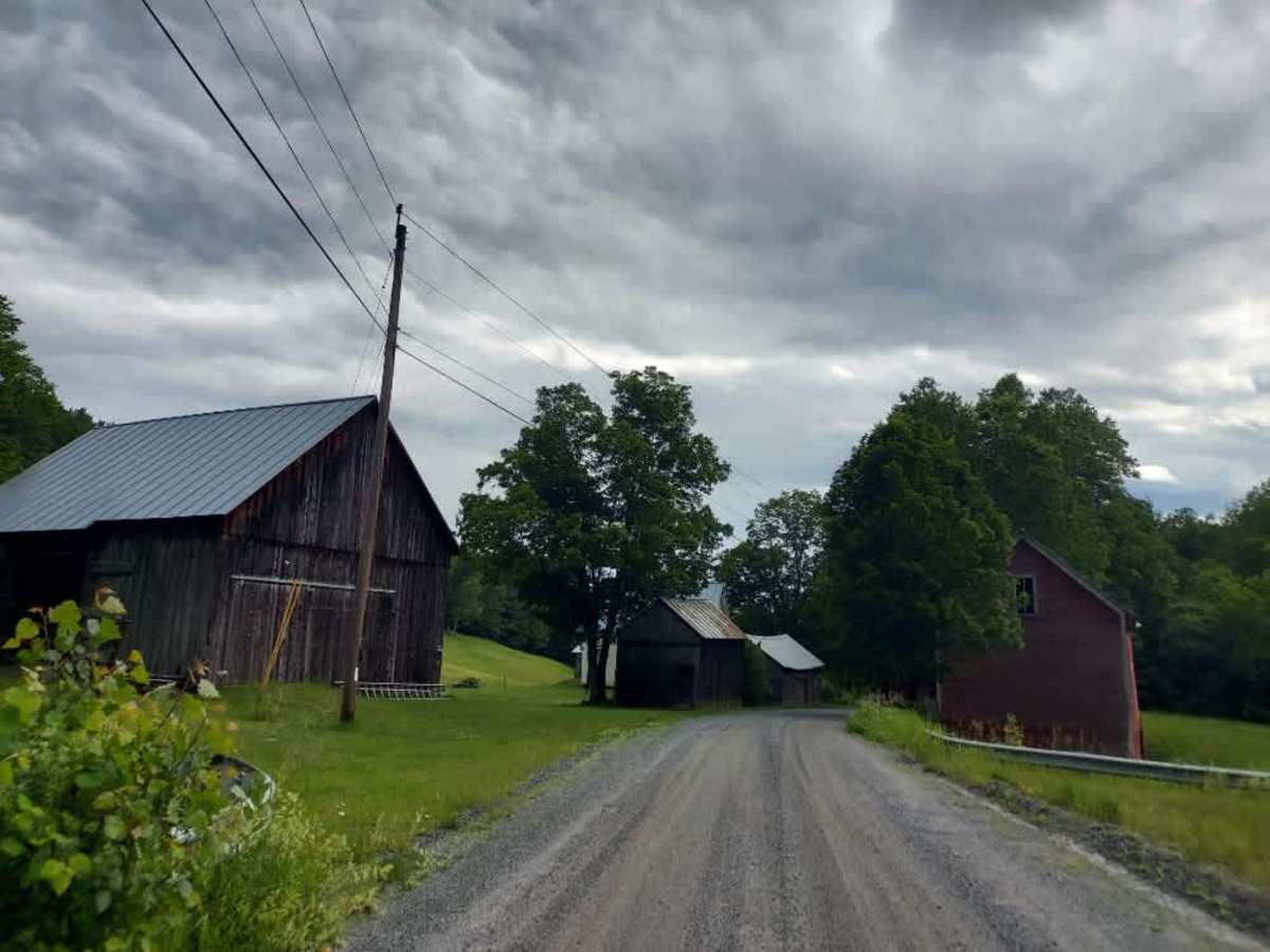 White Brook Road photo 5