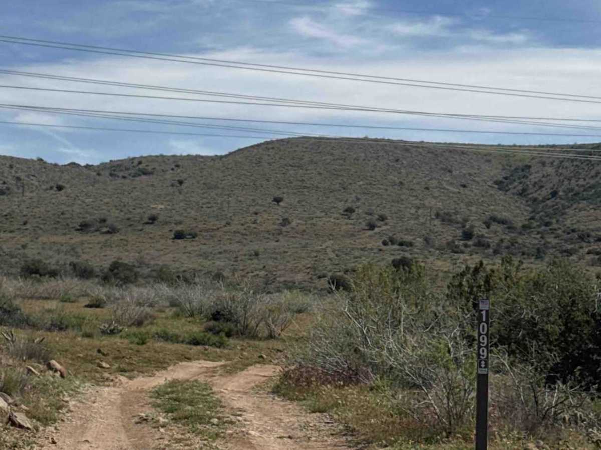 Deer Flat - FS 1099 trail photo