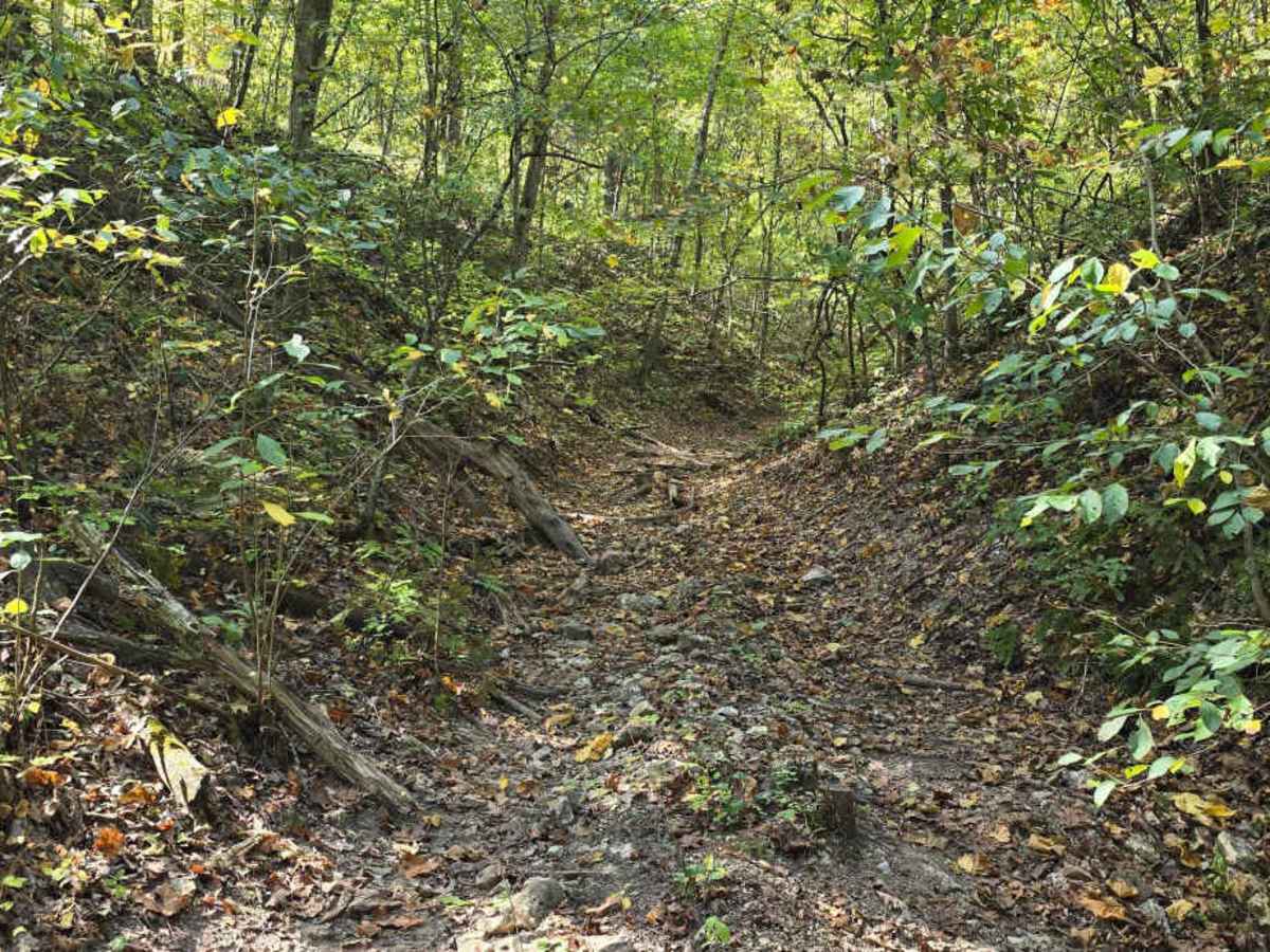 Trail Mix photo 6