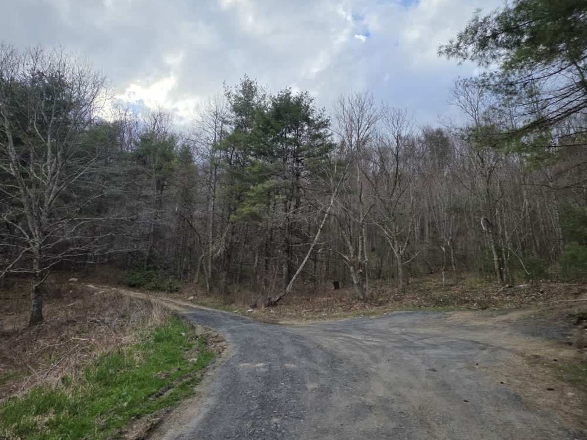 Flat Top Road photo 2