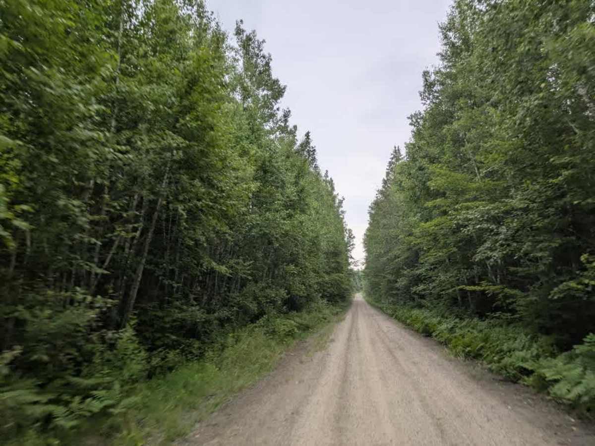 Fawn Creek Road photo 5