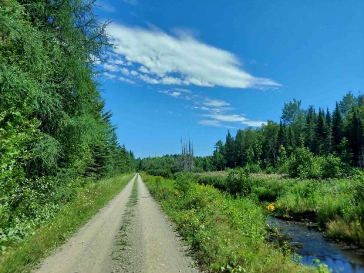 Southern Bangor & Aroostook Upper Trail trail photo