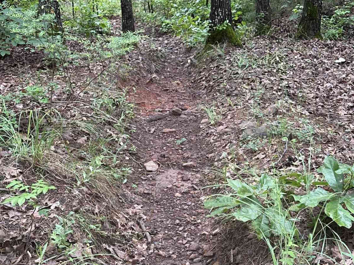The Pope trail photo