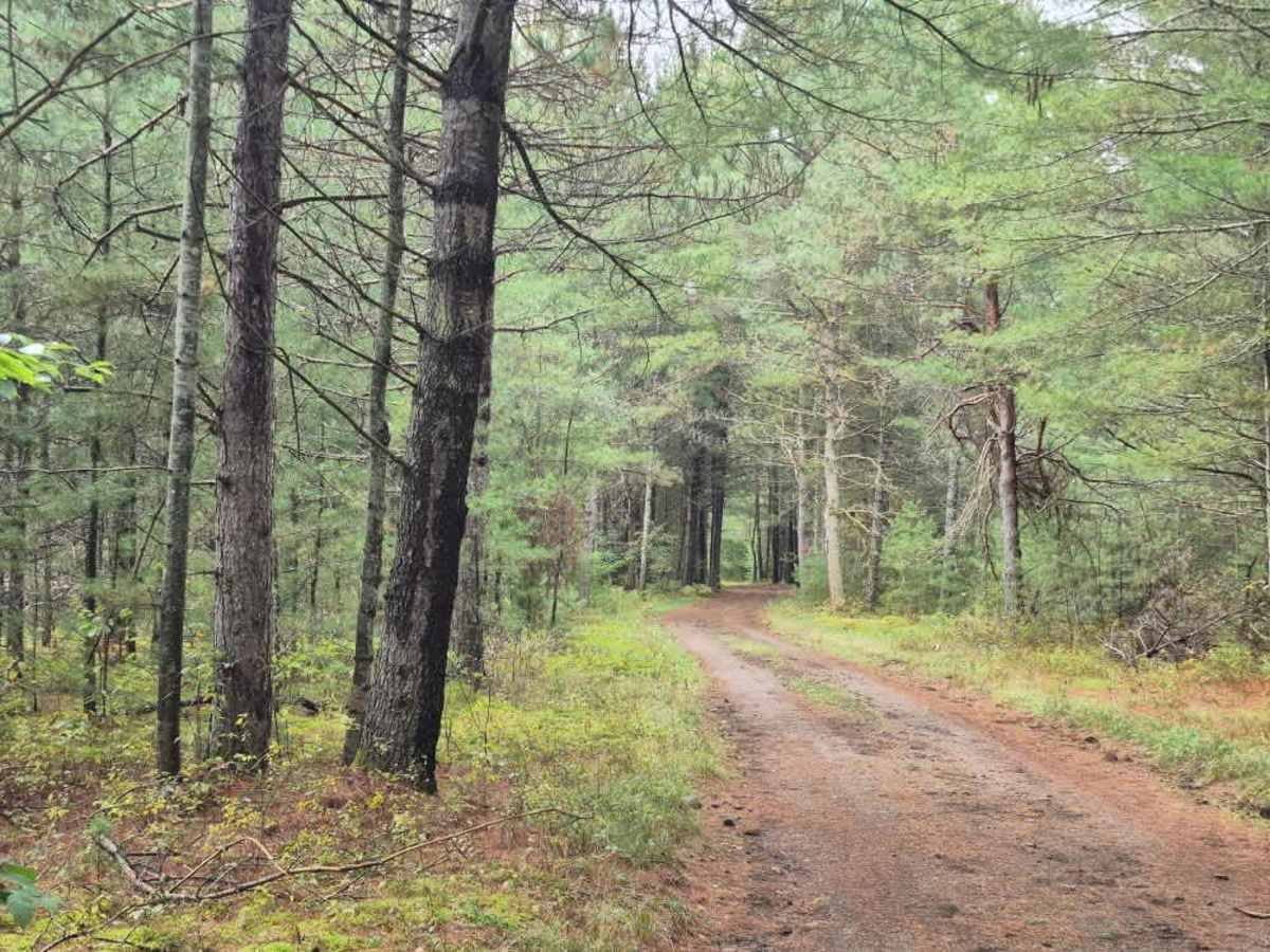 Pitcher Pond Trail photo 4