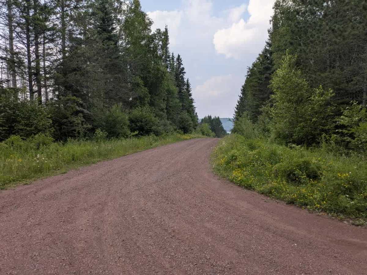 Mistletoe Road trail photo
